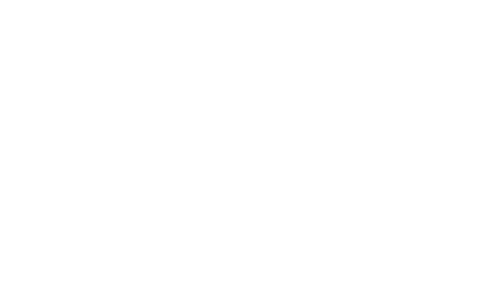 ../../../_images/dark-projection-conic_equidistant.png